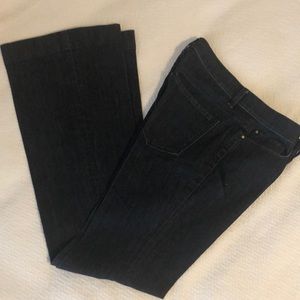 ANN TAYLOR Modern Fit Flare Jeans Size 8